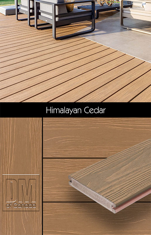 Eva-LAST, Himalayan Cedar deck board colour examples