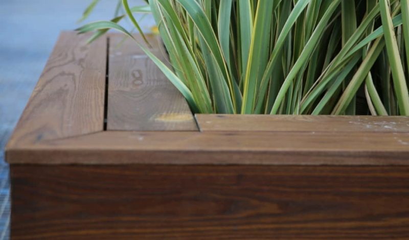 Tantimber ASH raised planter example