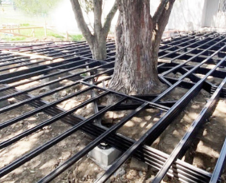 mid height framing around a tree