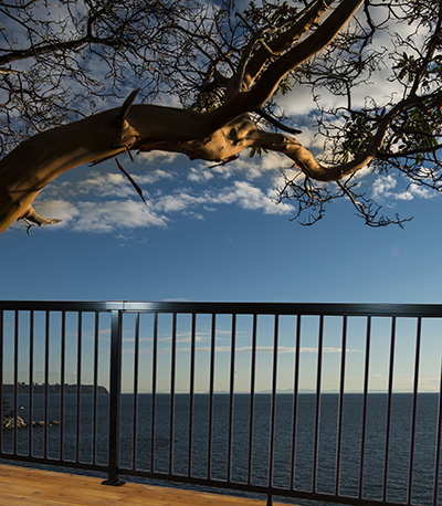 Vista Aluminum - Picket style railing example