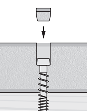 Starborn Pro Plug details step 2