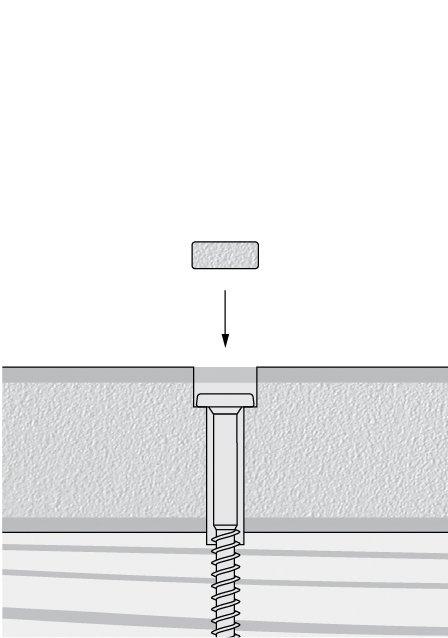 Starborn Pro Plug details step 3