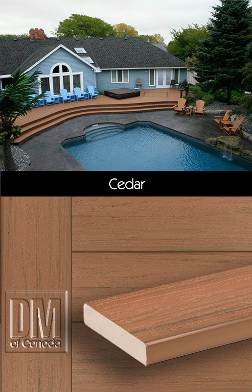 Endeck Forest Series, Cedar
