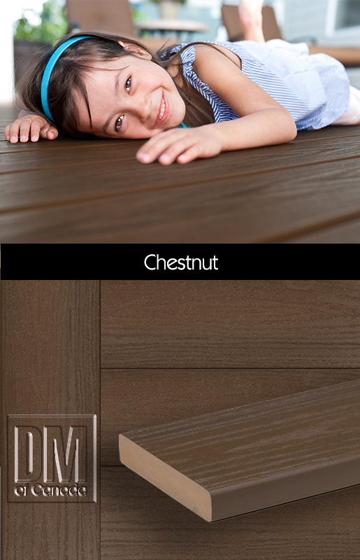 Endeck Forest Series, Chestnut
