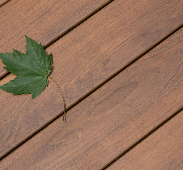 Zuri -exotic textures